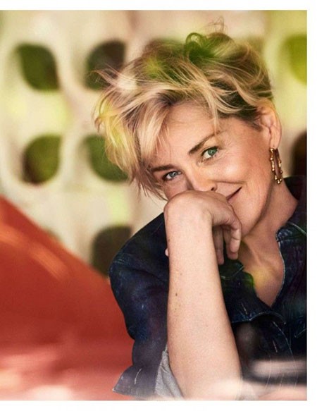 Sharon Stone Short Hairtyles