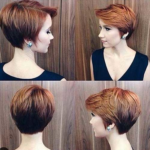 Pixie Bob Style