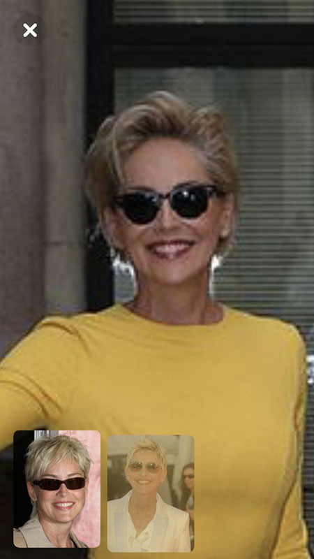 Pixie Hair Sunglasses